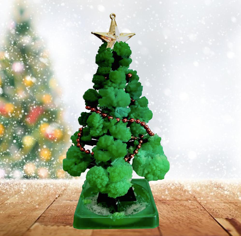 Grow your own Christmas tree - Self-growing Christmas tree (1+1 FREE)
