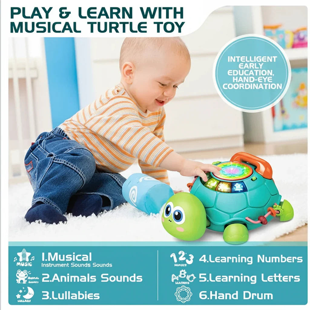 Interactive & Musical - Turtle Plaything with Songs
