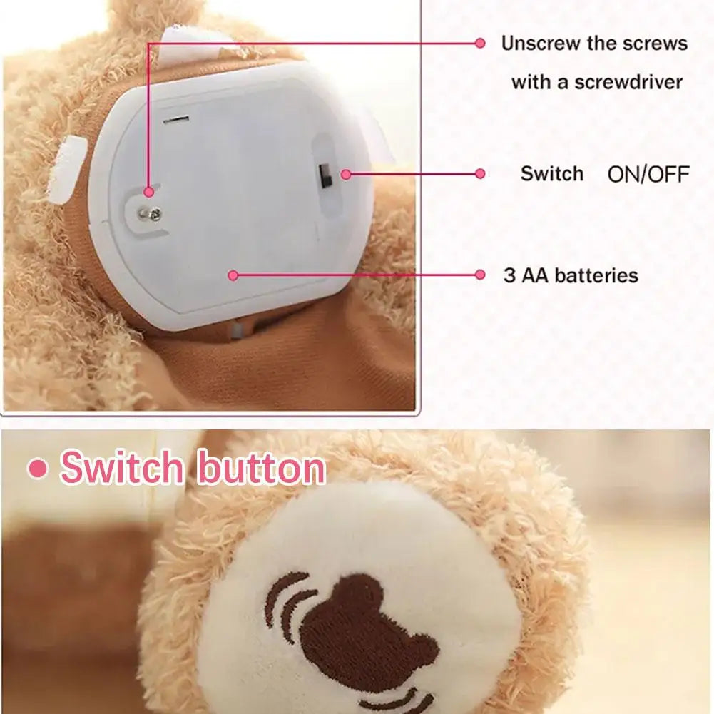 Bear Melody - Peekaboo teddy bear