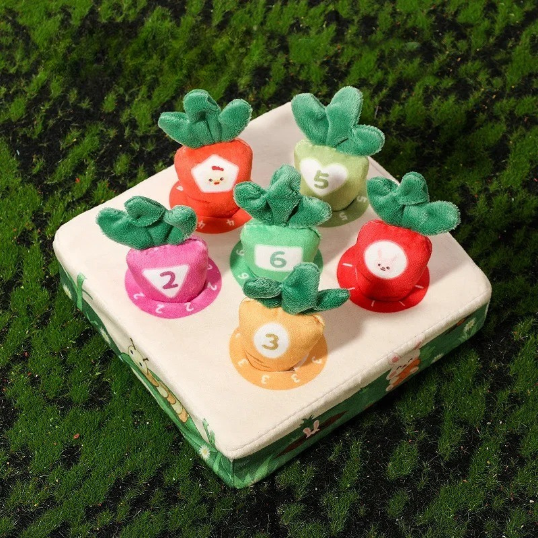 Feeling & Picking - Tactile Toys