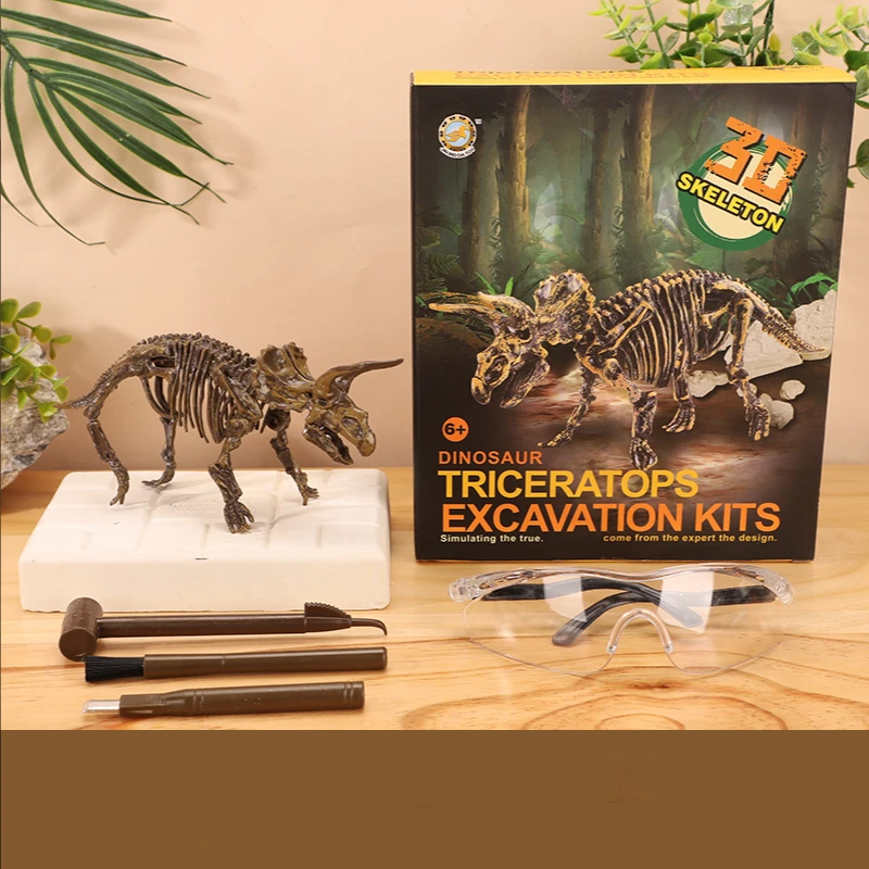 Exciting and learning – Fossil excavation kit