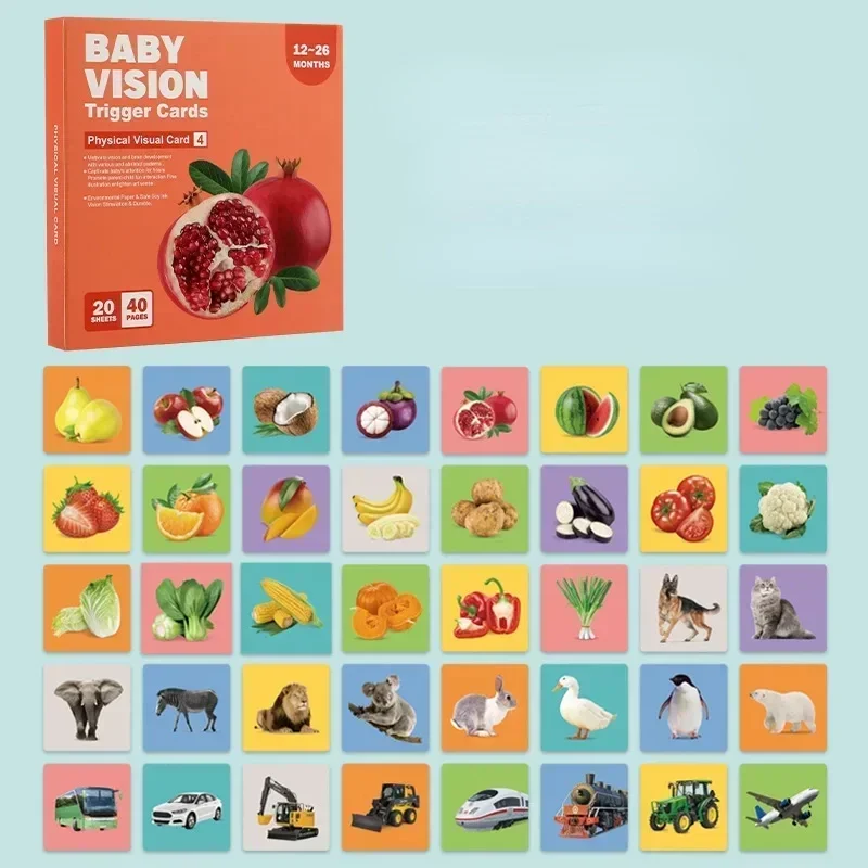 Educational & Informative – Infant Cognition Picture Book