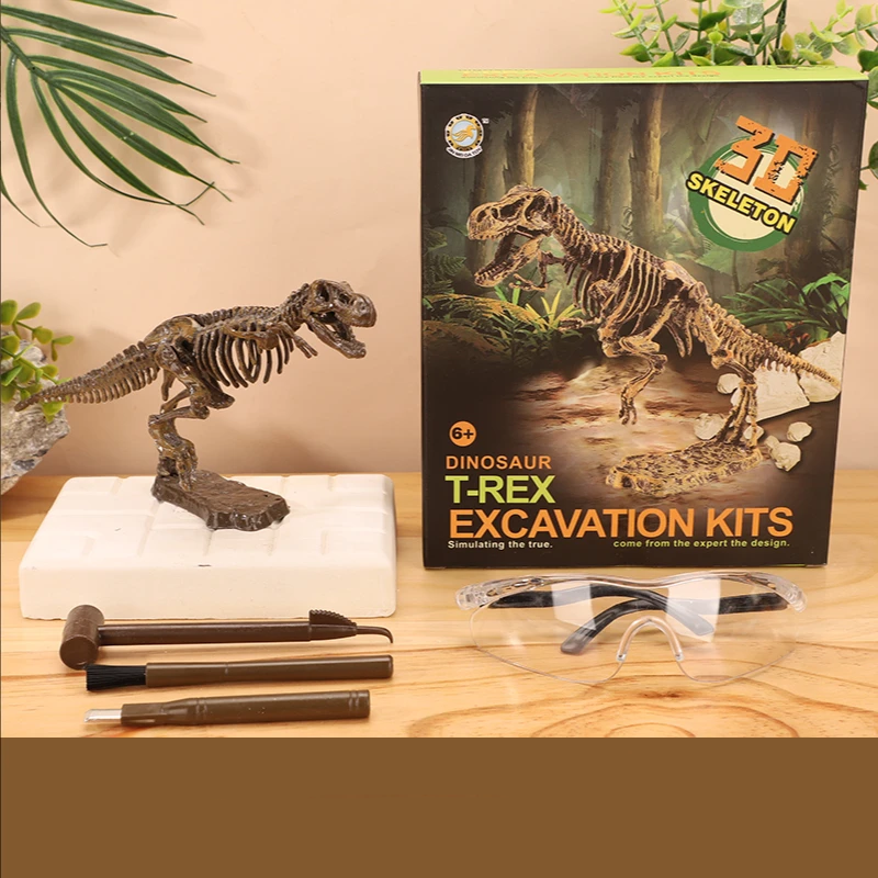 Exciting and learning – Fossil excavation kit