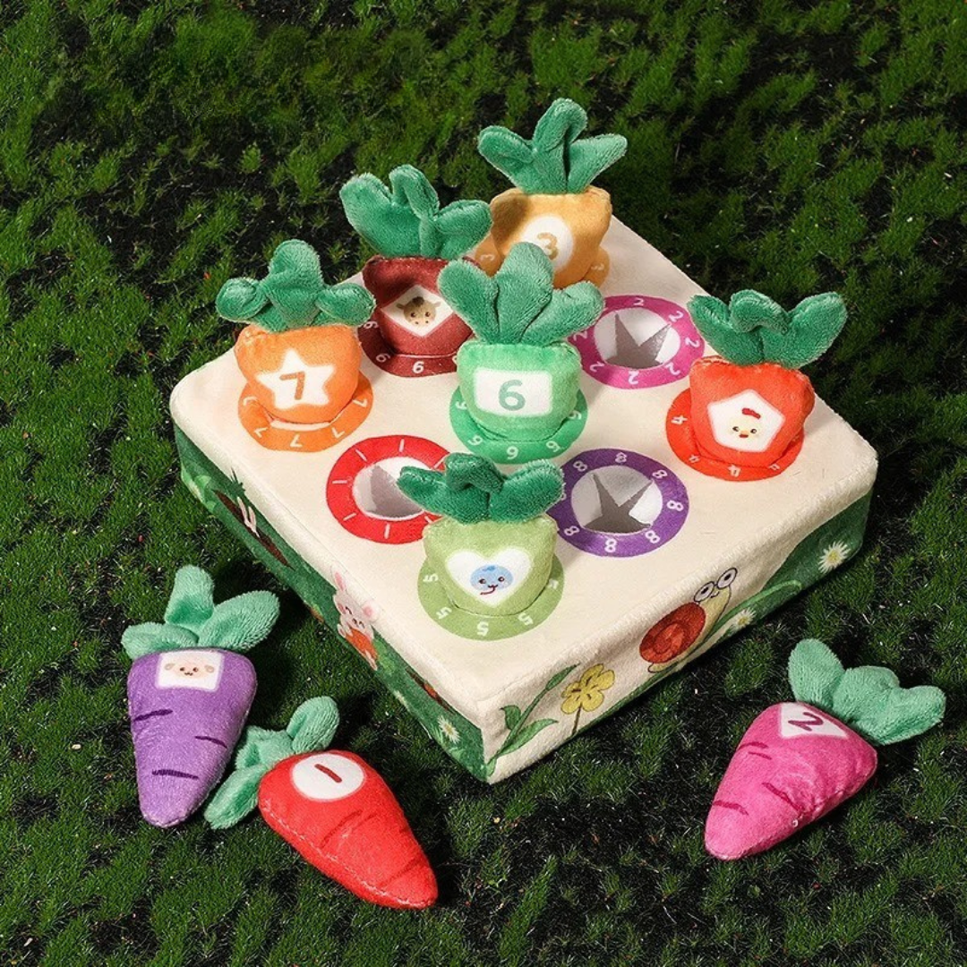 Feeling & Picking - Tactile Toys