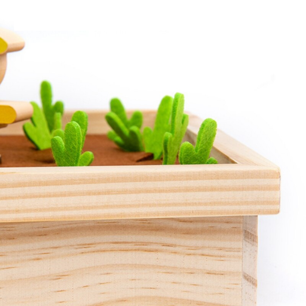 Discover different vegetables - Greenhouse for kids