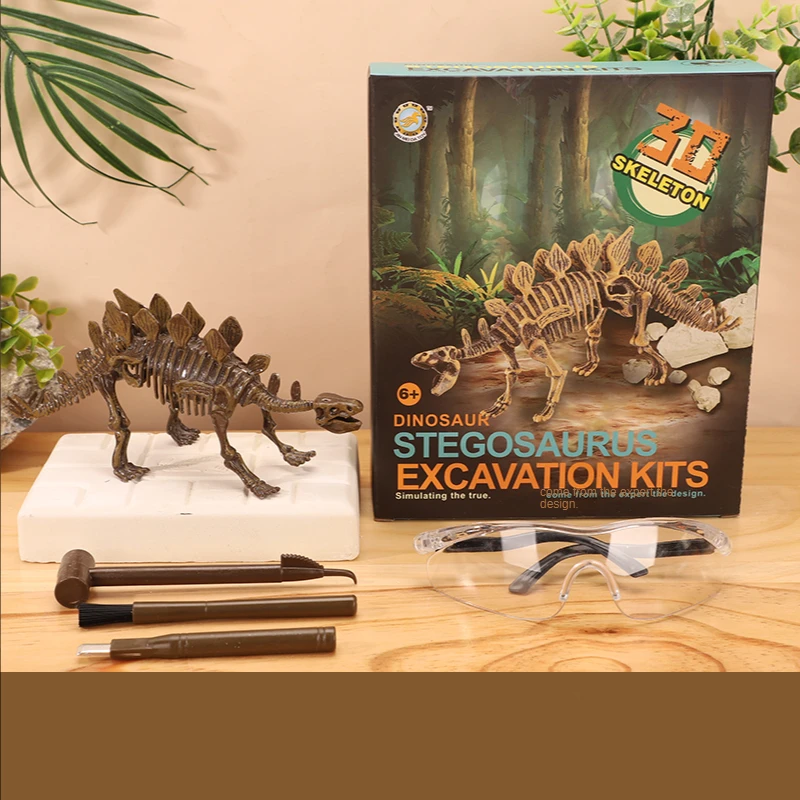 Exciting and learning – Fossil excavation kit