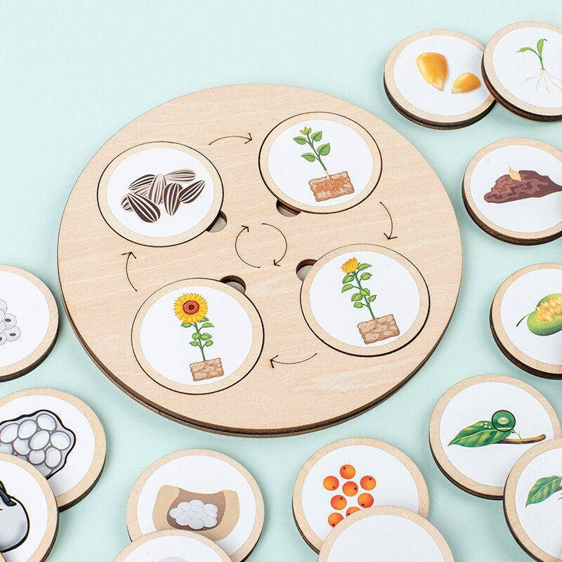Learn how to find the circle of life! - Wood learning puzzle