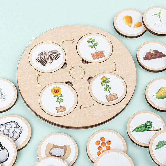 Learn how to find the circle of life! - Wood learning puzzle