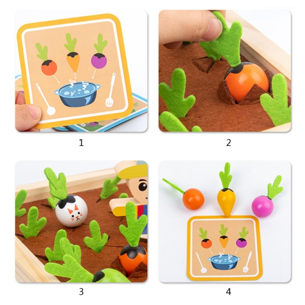 Discover different vegetables - Greenhouse for kids
