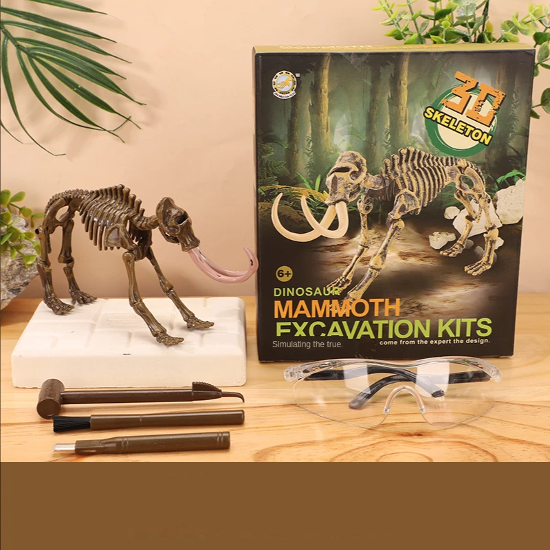 Exciting and learning – Fossil excavation kit