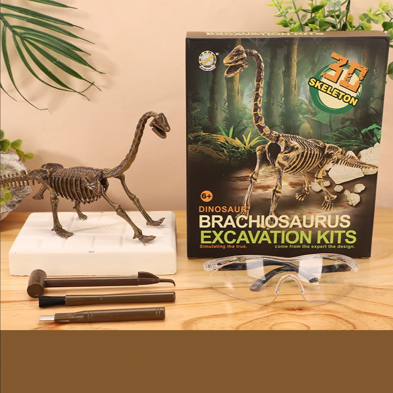 Exciting and learning – Fossil excavation kit