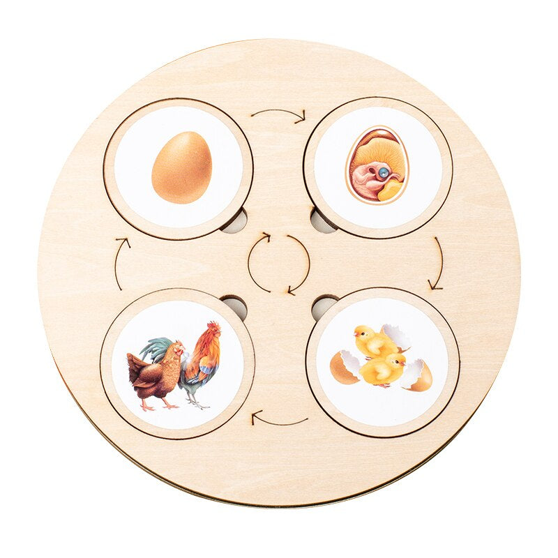 Learn how to find the circle of life! - Wood learning puzzle