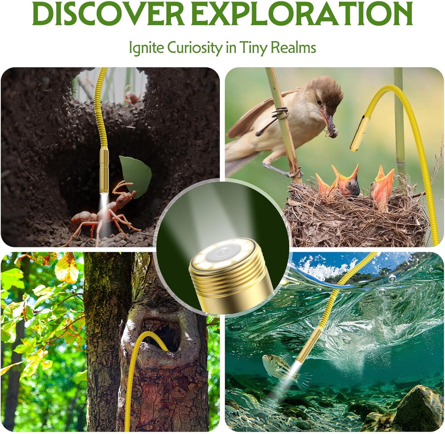 Educational & Adventurous – Endoscope with Light