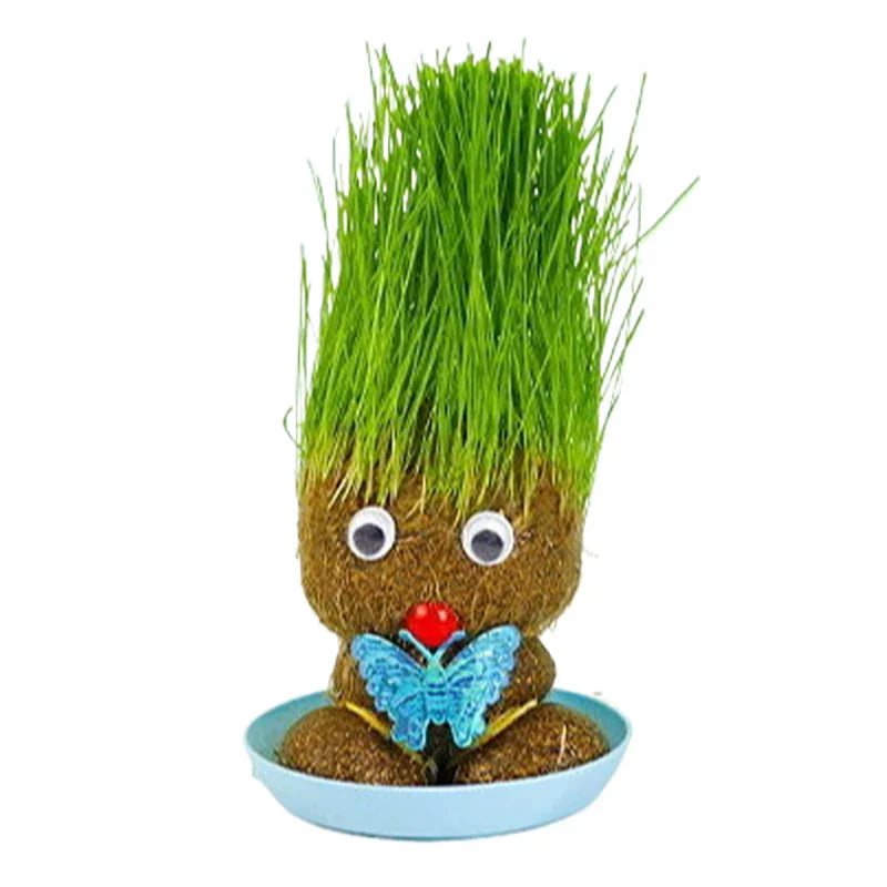 Learn to care for plants - Home Decoration Plants