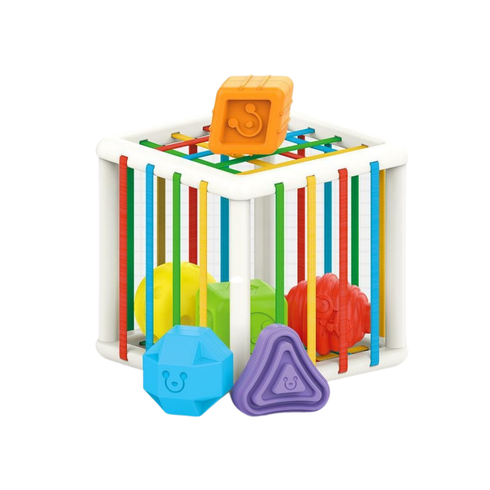 Woods™ l Sort and learn - Teaching cube for kids