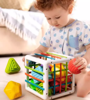 Woods™ l Sort and learn - Teaching cube for kids