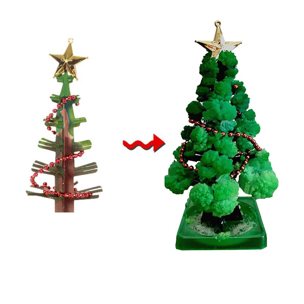 Grow your own Christmas tree - Self-growing Christmas tree (1+1 FREE)