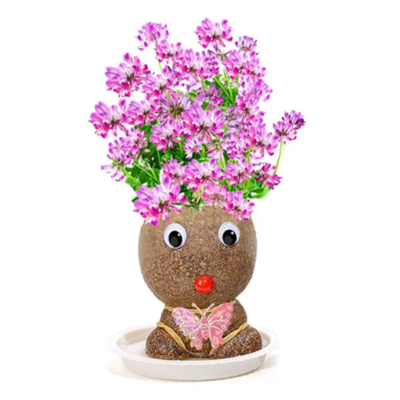 Learn to care for plants - Home Decoration Plants