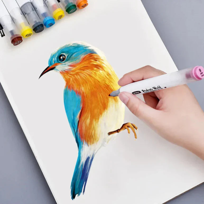 Double & Vibrant – Odorless & Washable School Markers