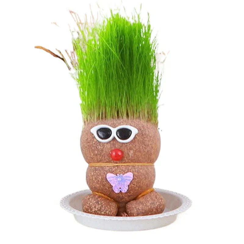 Learn to care for plants - Home Decoration Plants