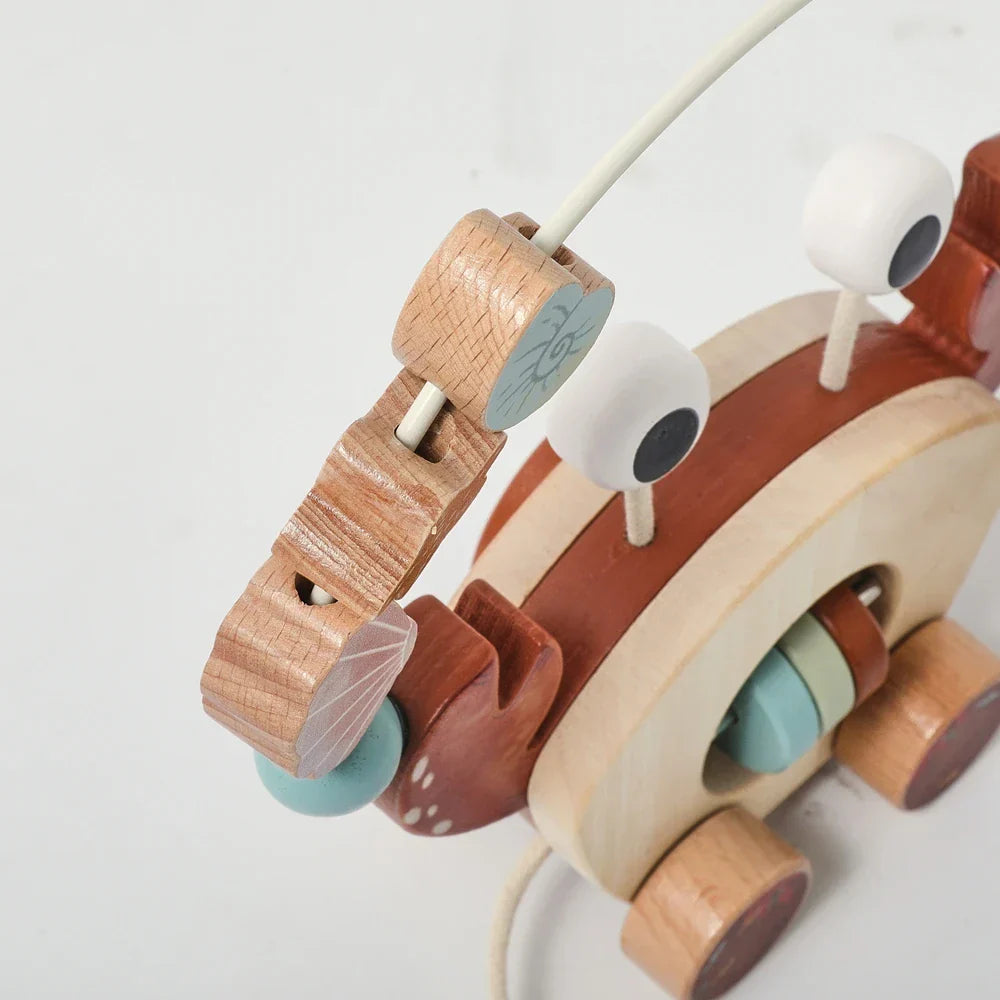 Play & Learn - Wood Crab