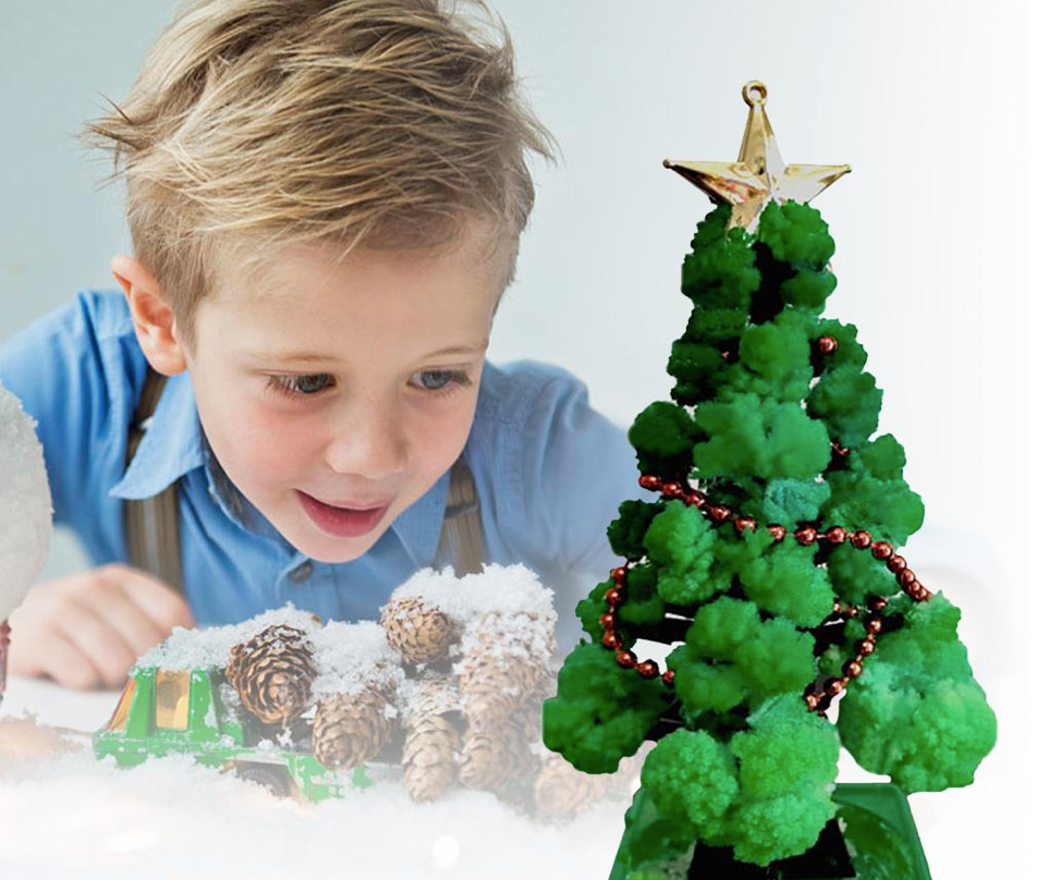 Grow your own Christmas tree - Self-growing Christmas tree (1+1 FREE)