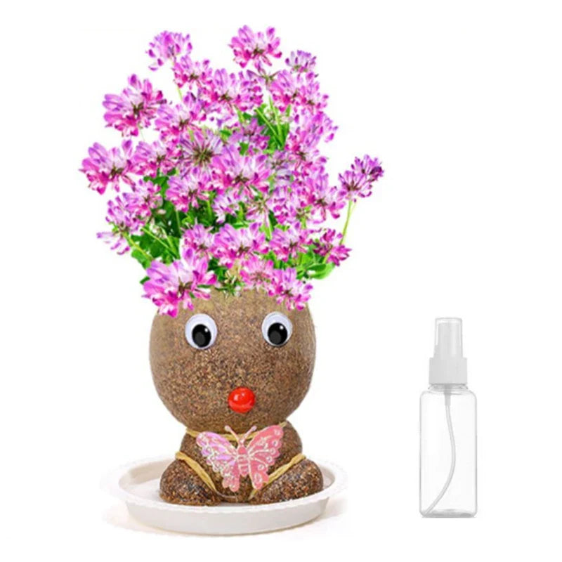 Learn to care for plants - Home Decoration Plants
