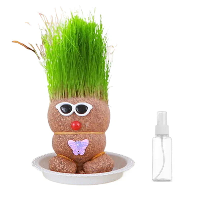 Learn to care for plants - Home Decoration Plants