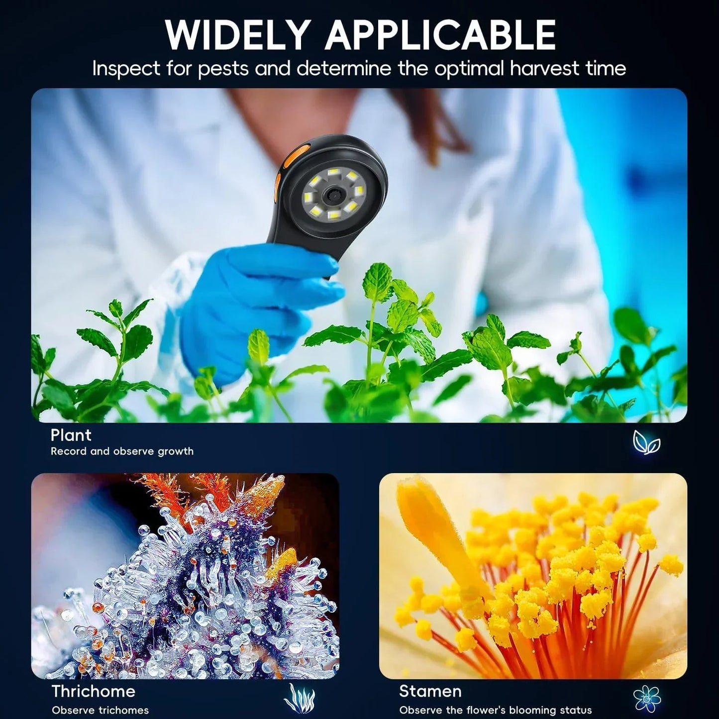 Small & Powerful - Hand Magnifier