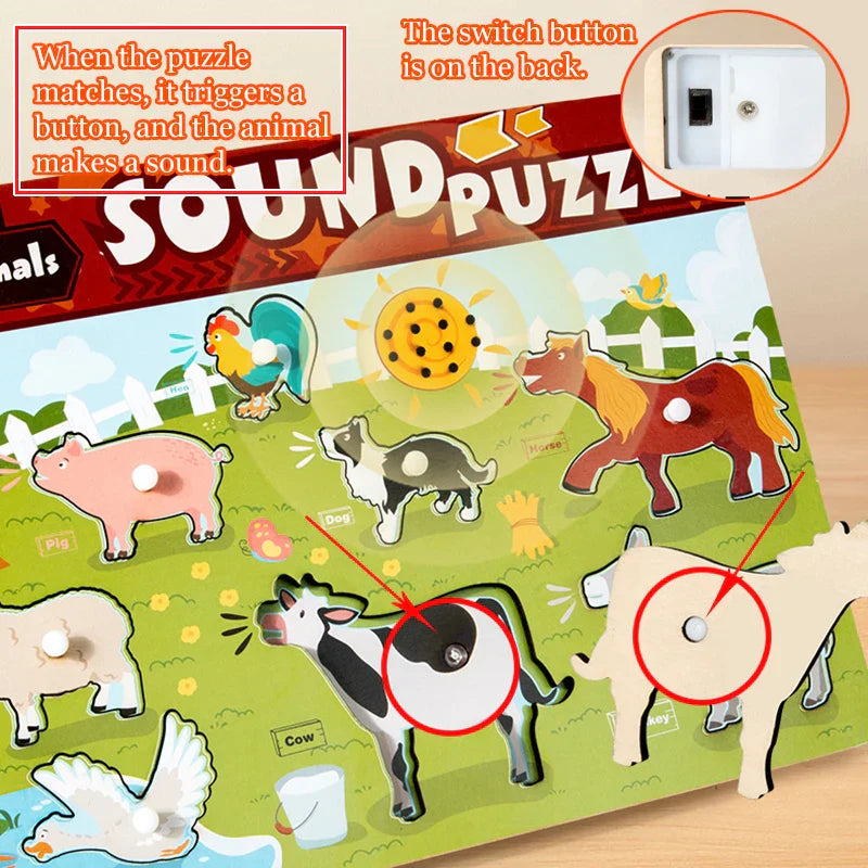 Hear & Discover – Educational Brain-teaser