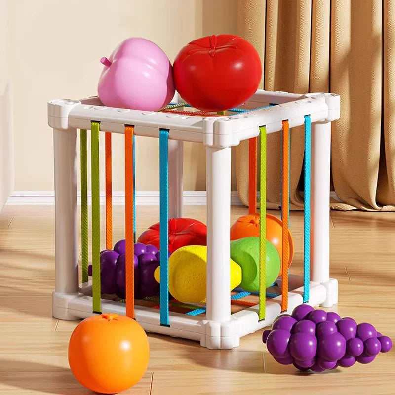 Cut, Play, Learn - Fruit in box