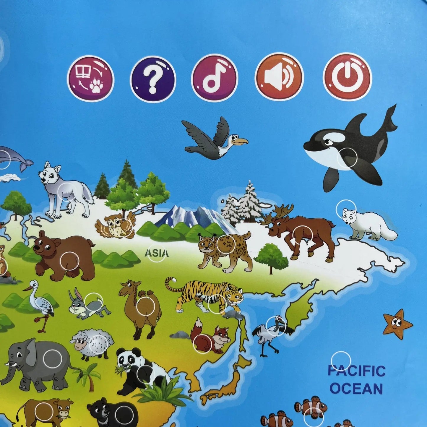 Educational & Playing – Animal World Map