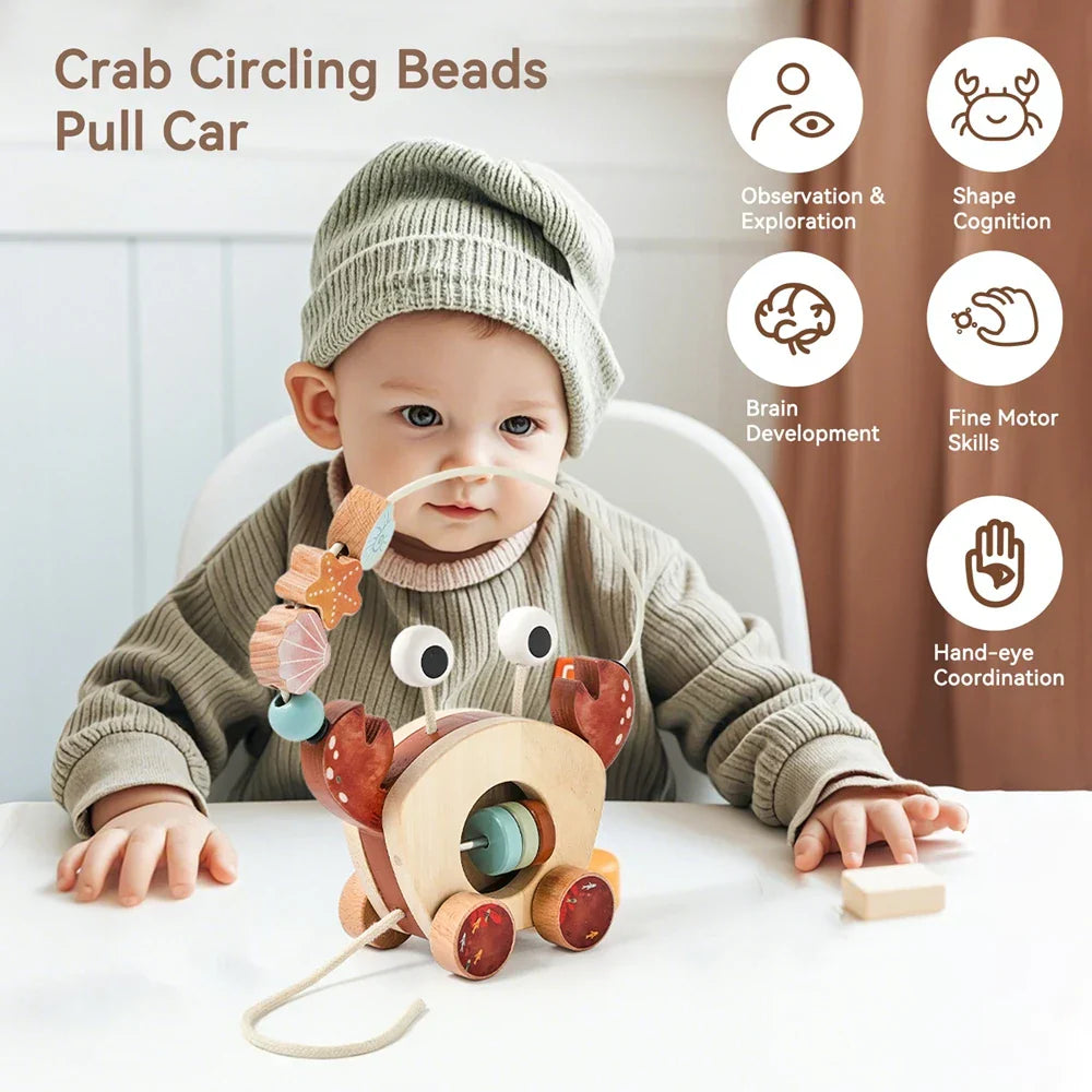 Play & Learn - Wood Crab
