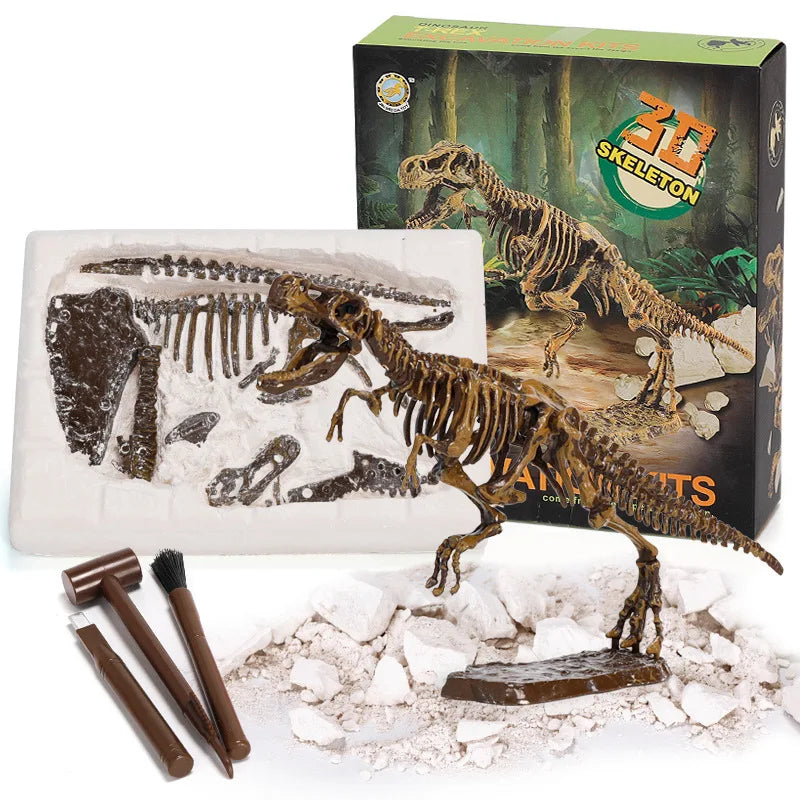 Exciting and learning – Fossil excavation kit