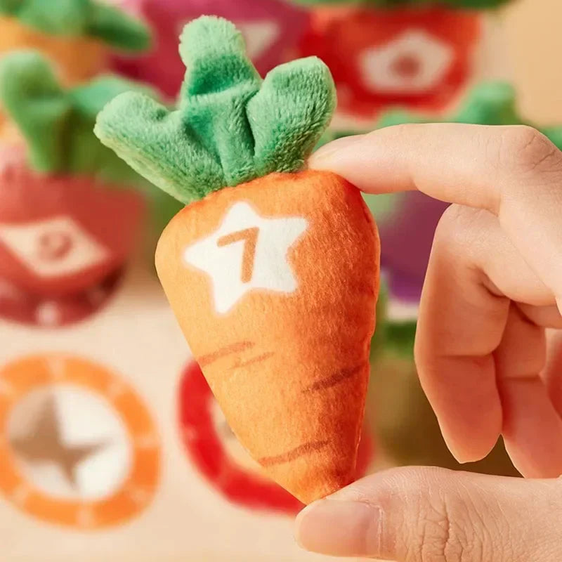 Feeling & Picking - Tactile Toys