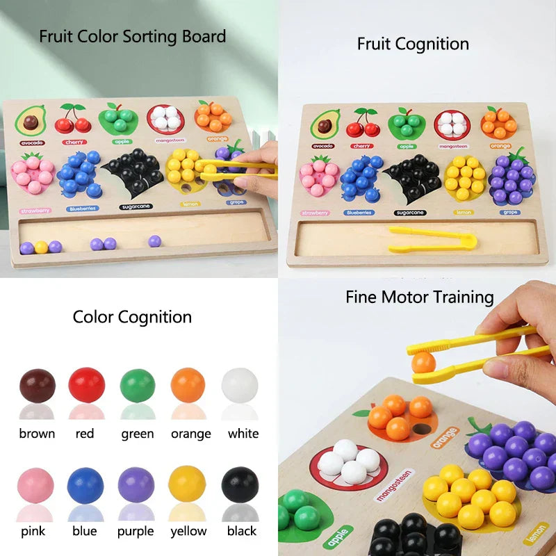 Fruit & Shape Match - Sorting game