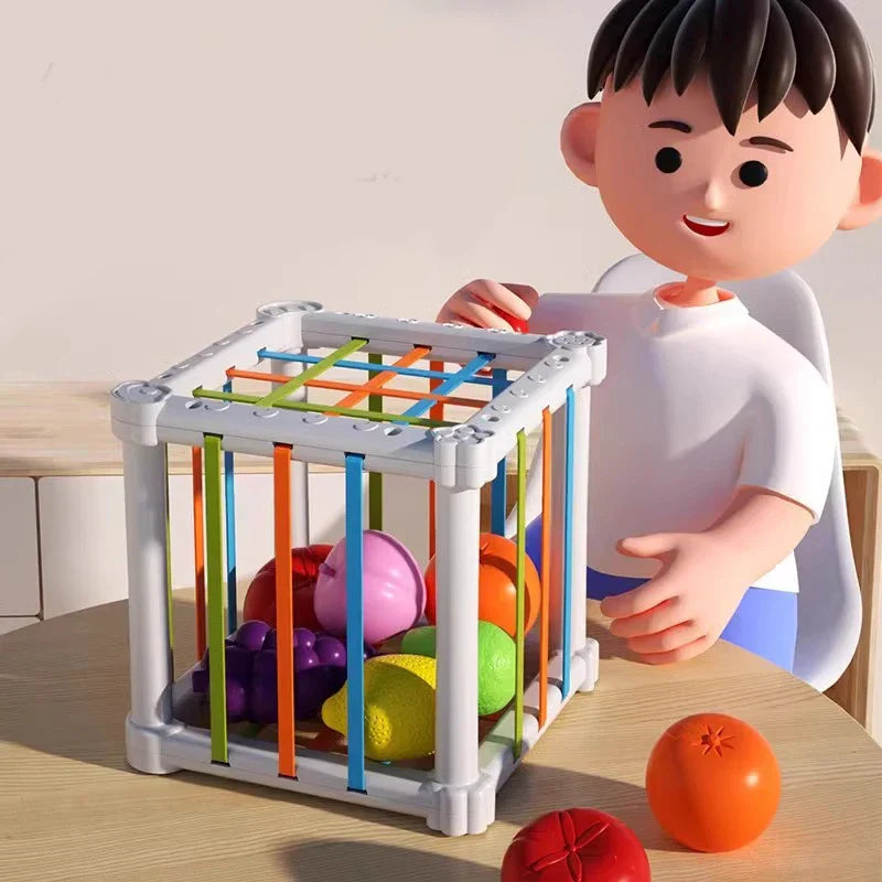 Cut, Play, Learn - Fruit in box