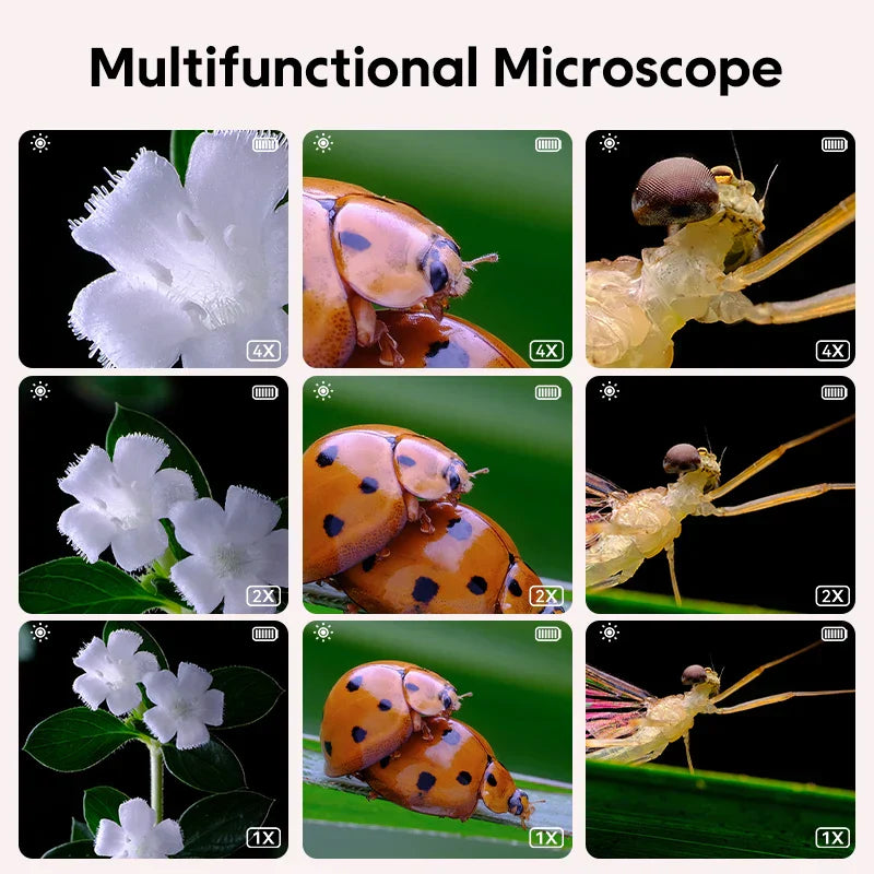 Science Under The Lens - Microscope