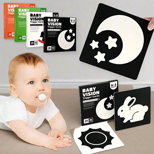 Educational & Informative – Infant Cognition Picture Book