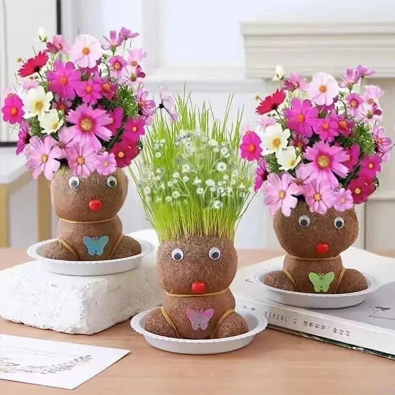 Learn to care for plants - Home Decoration Plants