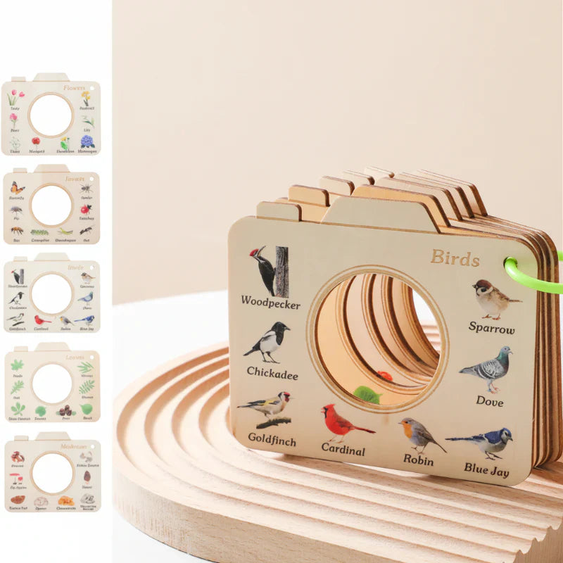 Nature Discovery Kit – Educational Wooden Viewing Frame