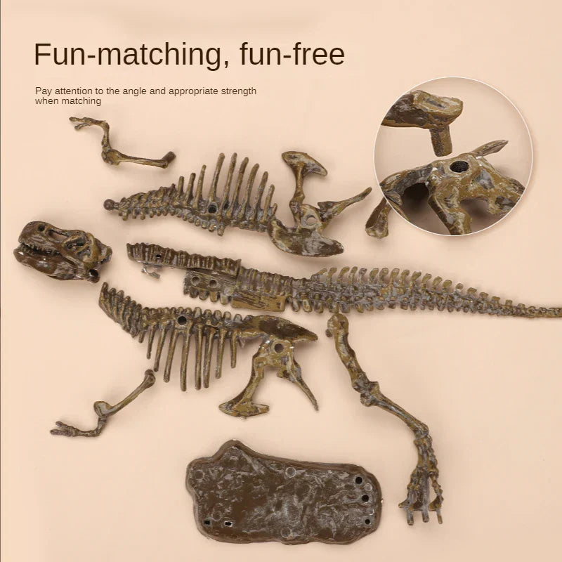 Exciting and learning – Fossil excavation kit