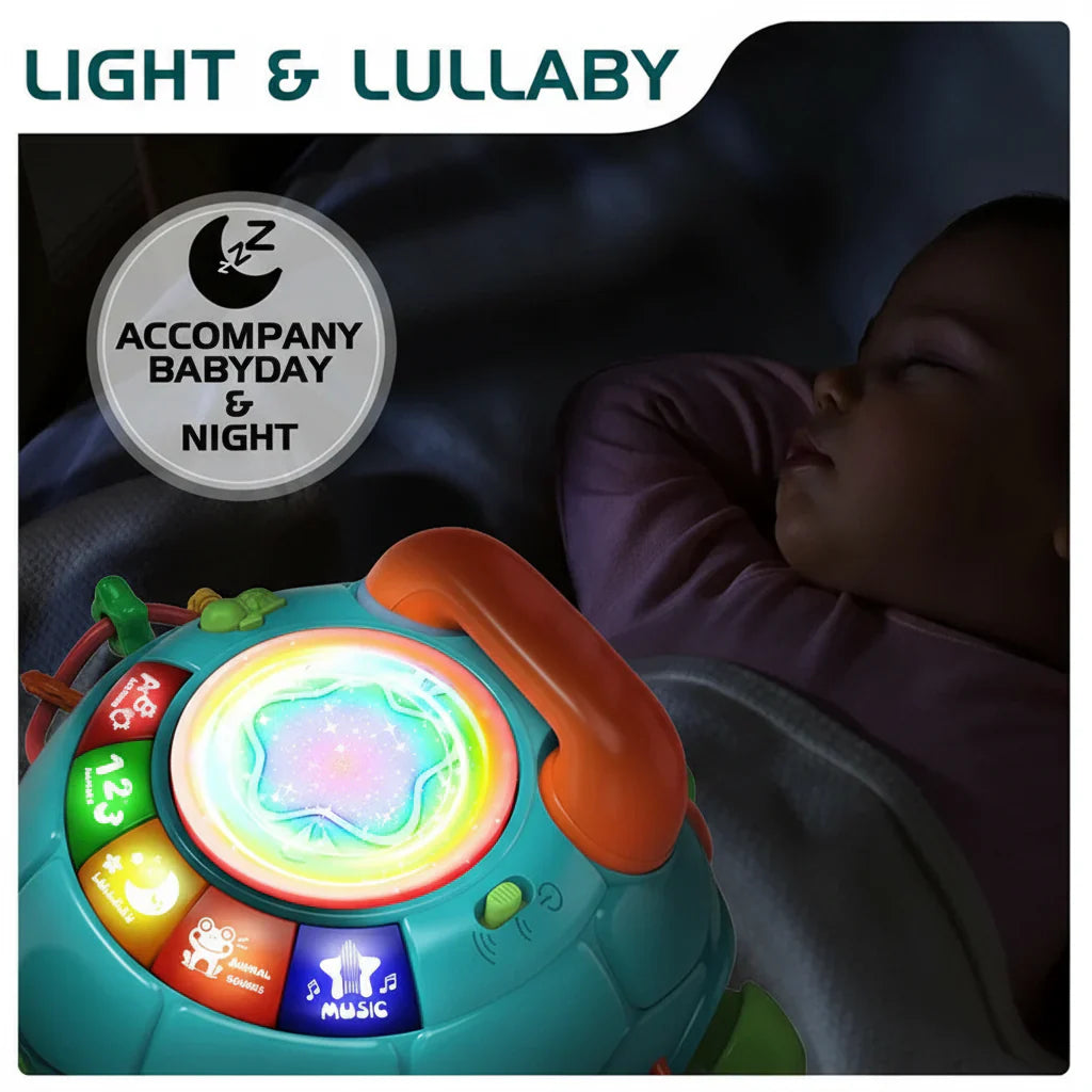Interactive & Musical - Turtle Plaything with Songs