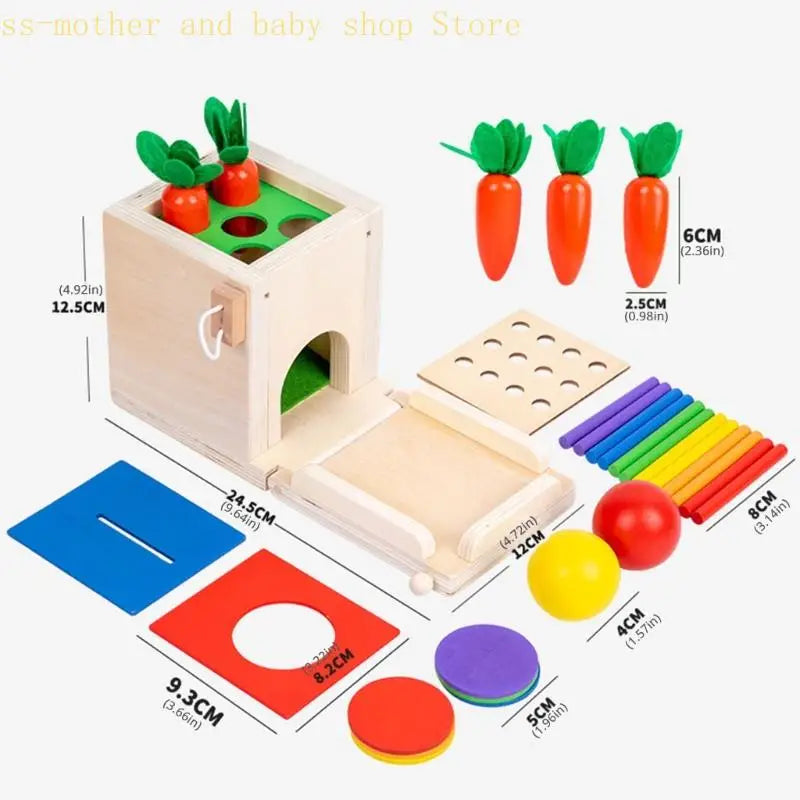 Colors & Shapes - Wood Sorting Toys
