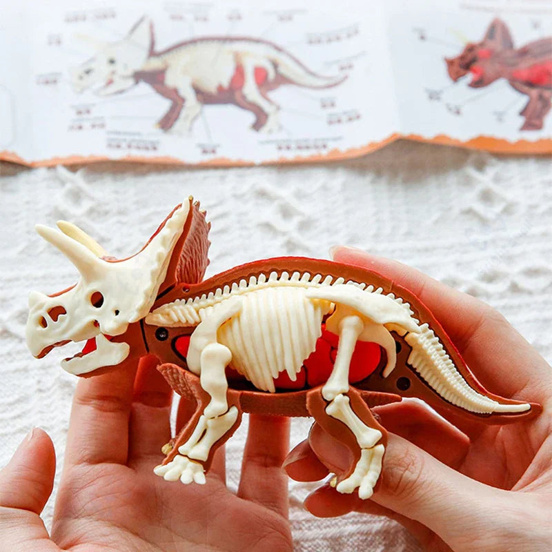 Exciting and learning – Fossil excavation kit