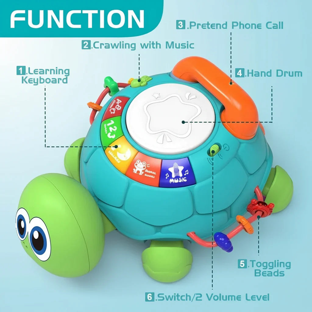 Interactive & Musical - Turtle Plaything with Songs