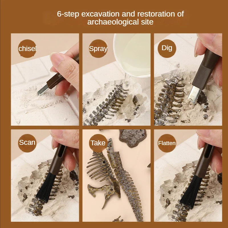 Exciting and learning – Fossil excavation kit