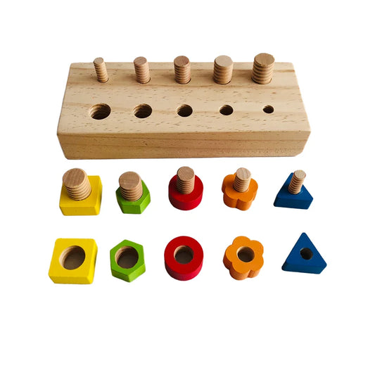 Fitting Puzzles - Fine Motor Toys