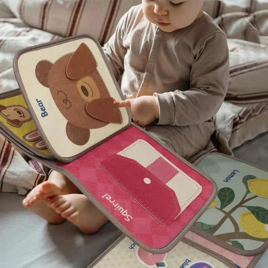 Discover & Play - Discovery Book