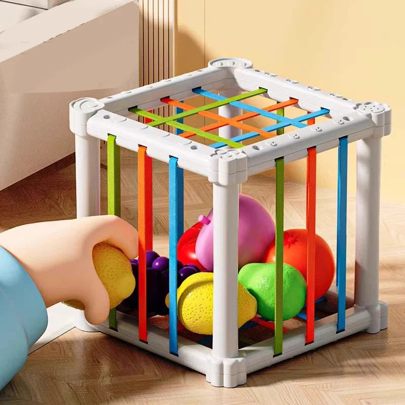 Cut, Play, Learn - Fruit in box